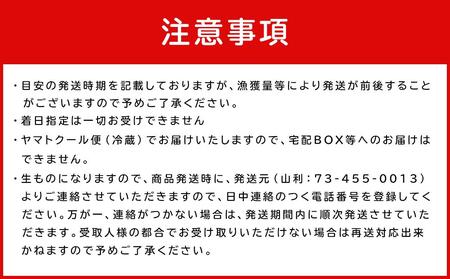 七代目 山利 釜あげしらす 900g 紙箱入り 春しらす【2025年発送】