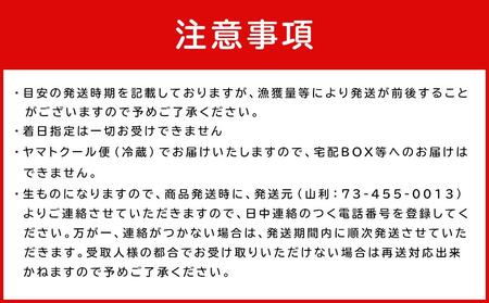 七代目 山利 釜あげしらす 310g 天日干しちりめん 230g パック入り お試しセット 秋しらす 【2026年発送】