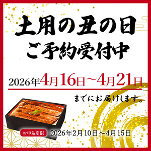 大型サイズ　ふっくら柔らか　国産うなぎ蒲焼き　2尾　化粧箱入［春土用の丑の日のうなぎ］［～4月21日までにお届け］［UT05］