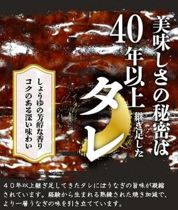 大型サイズ　ふっくら柔らか　国産うなぎ蒲焼き　2尾　化粧箱入［春土用の丑の日のうなぎ］［～4月21日までにお届け］［UT05］