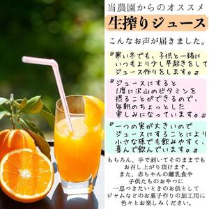 訳あり 清見オレンジ 混合 5kg ｜清見オレンジ