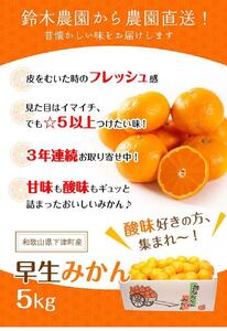 早生みかん 5kg 小玉サイズ みかん