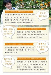 早生みかん 5kg 小玉サイズ みかん