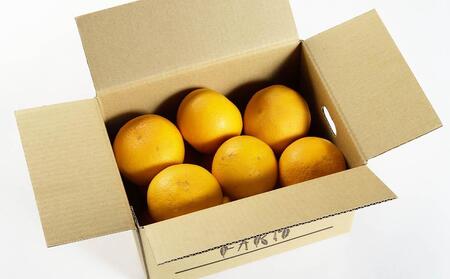 春峰 約5kg L・2L・3Lサイズおまかせ 《赤秀》 和歌山県産 農園直送 まごころ産直みかん 【北海道・沖縄県・一部離島 配送不可】 しゅんぽう 清見 水晶文旦 春 果物 柑橘【Mg5】