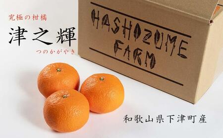 津之輝 約5kg S・M・Lサイズおまかせ 《赤秀》 和歌山県産 農園直送 まごころ産直みかん 【北海道・沖縄県・一部離島 配送不可】 つのかがやき 津の輝き 春 柑橘 果物 みかん オレンジ【Mg7】
