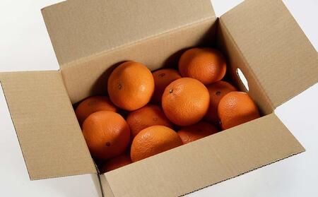 津之輝 約5kg S・M・Lサイズおまかせ 《赤秀》 和歌山県産 農園直送 まごころ産直みかん 【北海道・沖縄県・一部離島 配送不可】 つのかがやき 津の輝き 春 柑橘 果物 みかん オレンジ【Mg7】