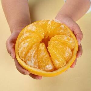 甘夏 約10kg 大小混合 《秀品》 和歌山県産 農園直送 まごころ産直みかん 【北海道・沖縄県・一部離島 配送不可】サンフルーツ 新甘夏 田ノ浦オレンジ あまなつ みかん【Mg9】