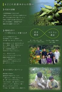 【定期便 全10回】厳選・柑橘の定期便 和歌山県 農園直送 まごころ産直みかん 【北海道・沖縄県・一部離島 配送不可】旬 みかん 早生 由良 完熟 蔵出し 津之輝 甘夏 不知火