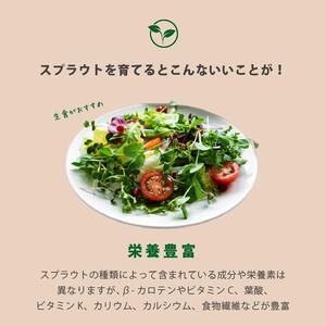 【アイボリー】ベジマジそだてる スプラウト栽培容器 種付き 水耕栽培 おしゃれ 家庭菜園