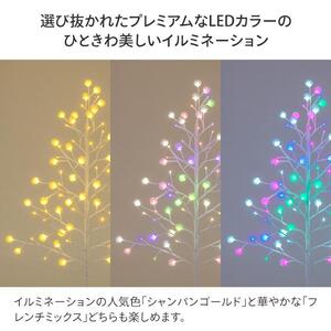 79913800 彩プレミアム TOKKAツリー S