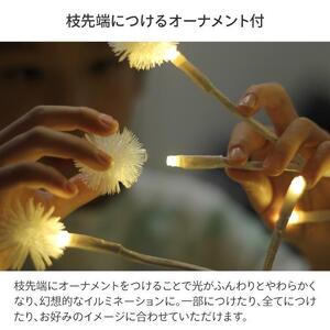 79913800 彩プレミアム TOKKAツリー S