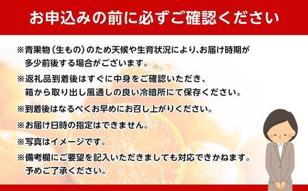 和歌山県産 糖度 12.5度以上 秀品 贈答用 みかん 5kg 2S・S サイズ混合 【NY2】