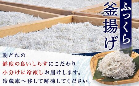 産地直送 ご家庭用 冷凍 しらす 1000g （250g × 4 ）（ 冷凍 ）