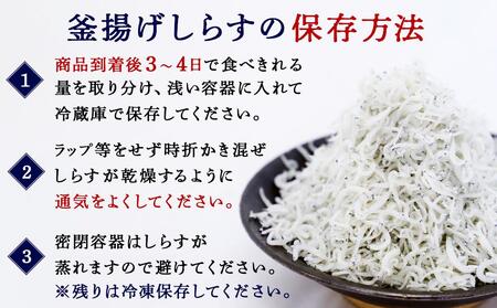 産地直送 ご家庭用 冷凍 しらす 1000g （250g × 4 ）（ 冷凍 ）