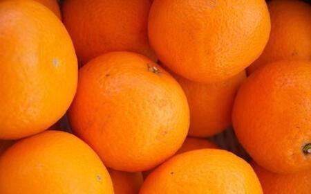 和歌山県産清見オレンジ約5kg（サイズ混合）★2025年3月中旬頃より順次発送