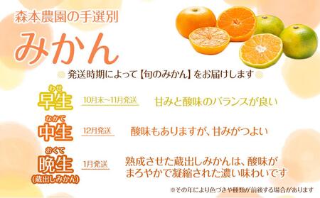 訳あり 森本農園の手選別 みかん 8kg 和歌山県産 2S~2Lサイズ混合 ［北海道・沖縄・離島配送不可］［RN10］［2025年11月上旬から順次発送］