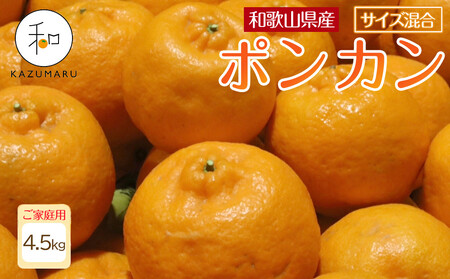 家庭用 森本農園の手選別 ポンカン 5kg  +200g傷み補償付 和歌山県産 サイズ混合 【北海道・沖縄・離島配送不可】【RN12】