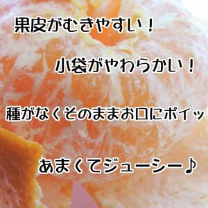 【秀品】和歌山有田のデコポン！約5kg【2027年1月下旬以降順次発送】【NGT2】