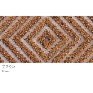 玄関マット 泥 雪 落とし 36×60cm ブラウン SNG102107803