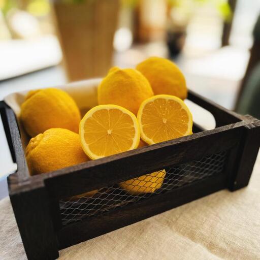 紀州和歌山 ご家庭用 有田 レモン 3kg［先行予約］［MS70］