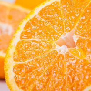 有田育ちの濃厚不知火(ご家庭用) 約5kg［先行予約］［MS41］