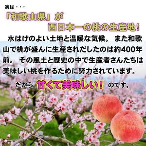 ［秀品］和歌山ブランド白桃 約2kg！6月以降発送分［NGT5w］