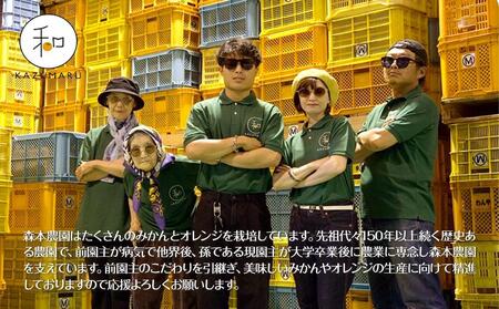 家庭用 森本農園の手選別ネーブルオレンジ 6kg 和歌山県産 サイズ混合 ［北海道・沖縄・離島配送不可］［RN34］［2026年1月上旬から順次発送］