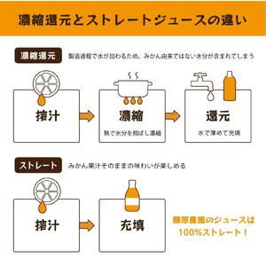 柑橘ジュース詰め合わせ|和歌山県海南市下津町産の果汁100%ストレートジュース
