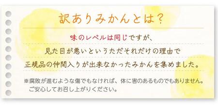 みかん【和歌山のみかん】訳あり 10kg 大小混合サイズ ご家庭用 10月中旬から3月頃まで順次発送 まごころ産直みかんより農家直送 【北海道・沖縄県・一部離島 配送不可】