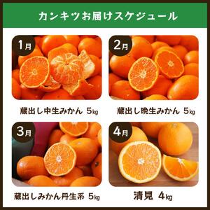 【毎月お届け全12回】みかんのサブスク 定期便 頒布会｜旬のカンキツを産地直送で毎月お届け 家庭用 和歌山県 海南市 【毎月お届け全12回】