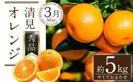 定期便全3回 【2月・3月・4月発送】 和歌山の春のフルーツ (ポンカン・清見オレンジ・まりひめ)【TM174】