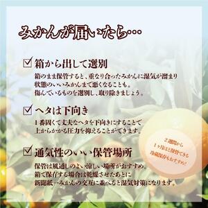 【訳あり】和歌山みかん 約9.5kg+補償分約500g サイズ混合 11月より順次発送 訳ありみかん 【red1】