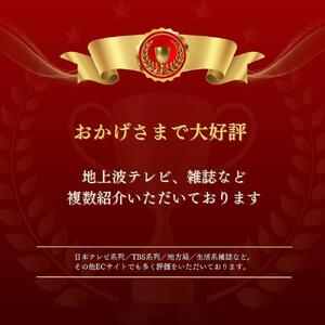 【山本勝之助商店】11玉 長柄 皮巻き 棕櫚ほうき