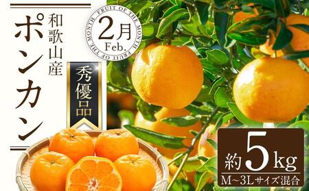 和歌山の春のフルーツ（ポンカン・清見オレンジ・セミノールオレンジ）定期便 全3回 【2月・3月・4月発送】【TM184】