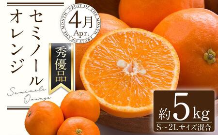 和歌山の春のフルーツ（ポンカン・清見オレンジ・セミノールオレンジ）定期便 全3回 【2月・3月・4月発送】【TM184】