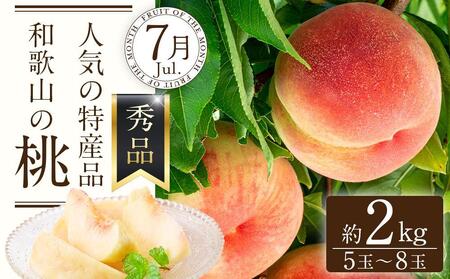定期便全3回 【7月・8月・9月発送】 和歌山の夏のフルーツをお届け(桃・梨・たねなしピオーネ)【TM179】