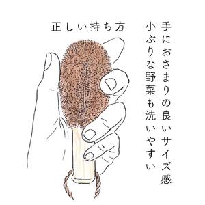 高田耕造商店 しゅろのやさしいたわし 野菜洗い用