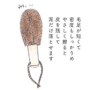 高田耕造商店 しゅろのやさしいたわし 野菜洗い用