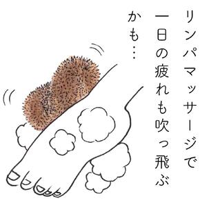 高田耕造商店 しゅろのやさしいたわし からだ用 抱き合わせ 紐付き