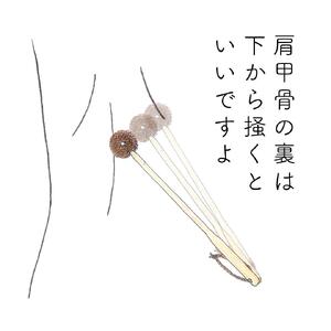 高田耕造商店 しゅろのやさしいたわし 孫の手