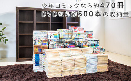 インテリア本 楽天市場】【6ヶ月保証付】奥深トリプルスライド 全段B6 幅120cm