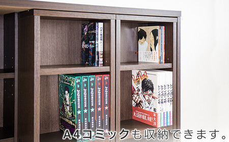 日本随筆大成　27冊セット 楽天市場】日本製 伸縮スライド ラック 完成品 ハイタイプ 角度
