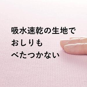 【ソフトピンク】サンコー ズレない さらっと ベンザシート おくだけ吸着 便座カバー 洗える KN-56