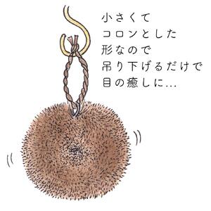 高田耕造商店 しゅろのやさしいたわし まる 小【2個セット】