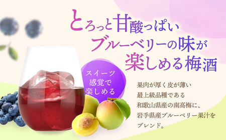 紀州の梅酒とブルーベリー 720ml 中野BC UMESHUfor