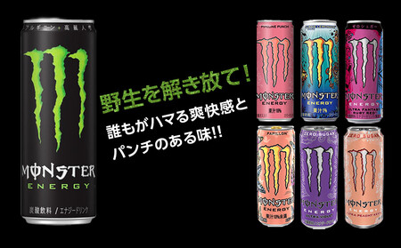 モンスター ウルトラファンタジールビーレッド　355ml×48本【2ケース】