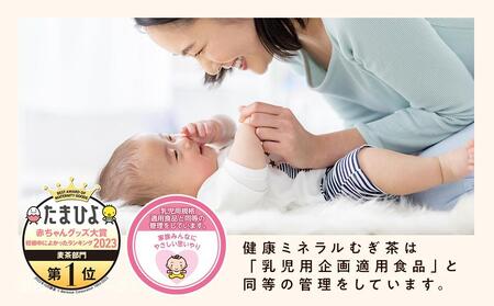 定期便 毎月 全12回 健康ミネラル麦茶 2L×6本 １ケース 12ヶ月定期便