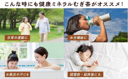 定期便 毎月 全3回 健康ミネラル麦茶 2L×6本 1ケース 3ヶ月定期便