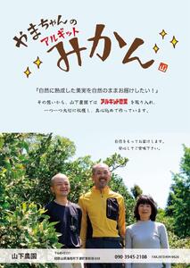 国産 バレンシアオレンジ 約5kg M~LLサイズ 山下農園