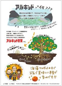 国産 バレンシアオレンジ 約5kg M~LLサイズ 山下農園